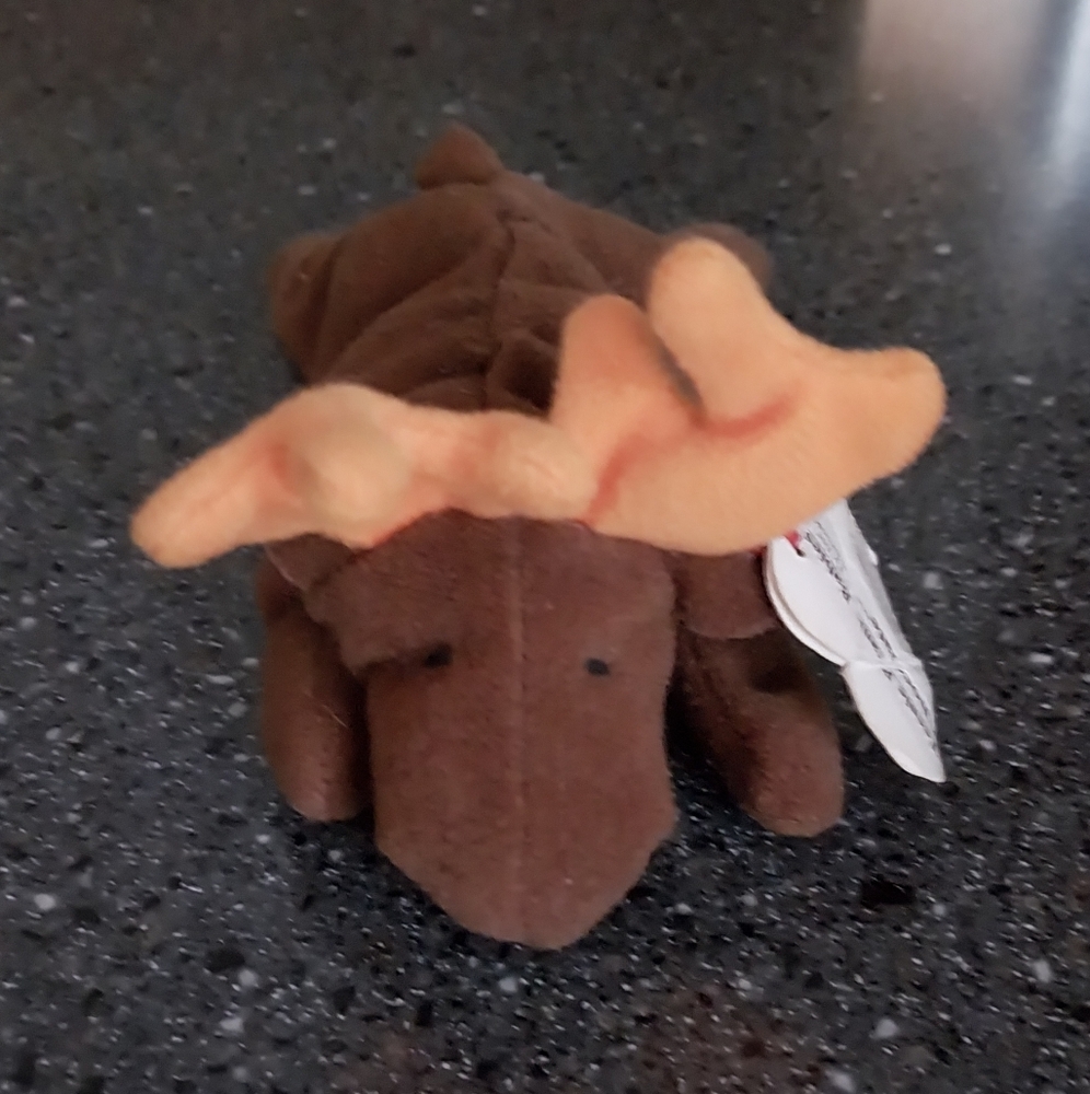 TY Teenie Beanie Baby Chocolate Moose (1996)
